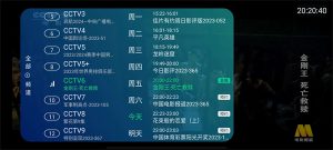 IPv6电视APP，免费的电视直播软件，无缝替换电视家-星火微能网