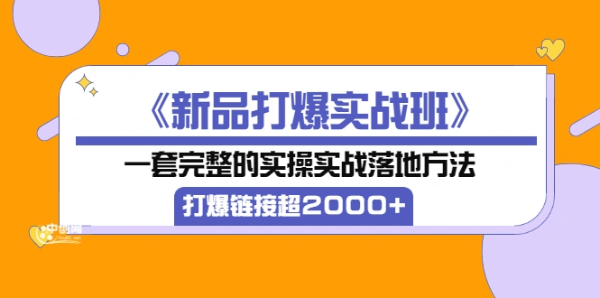 《新品打爆实战班》一套完整的实操实战落地方法，打爆链接超2000+（28节课)-星火微能网