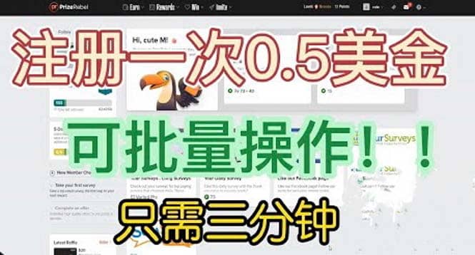 国外项目注册一次0.5美金 只需三分钟无脑操作 可批量放大 小白工作室福利-星火微能网