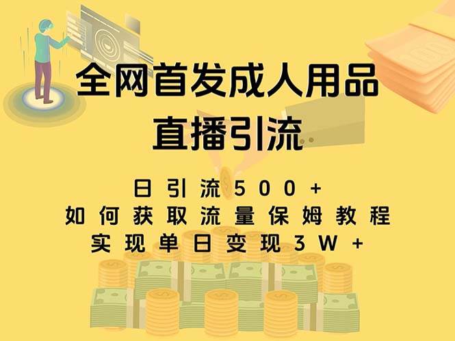 最新全网独创首发，成人用品直播引流获客暴力玩法，单日变现3w保姆级教程-星火微能网