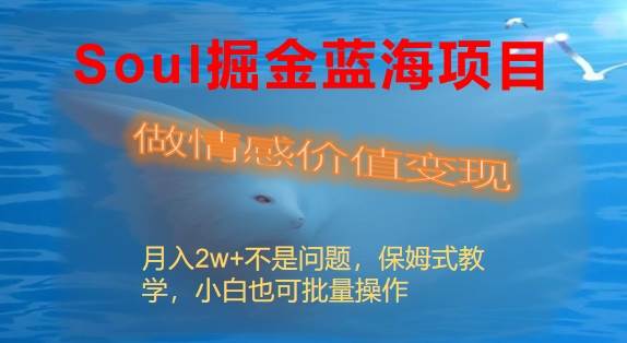 Soul掘金蓝海项目细分赛道，做情感价值变现，月入2w 不是问题-星火微能网