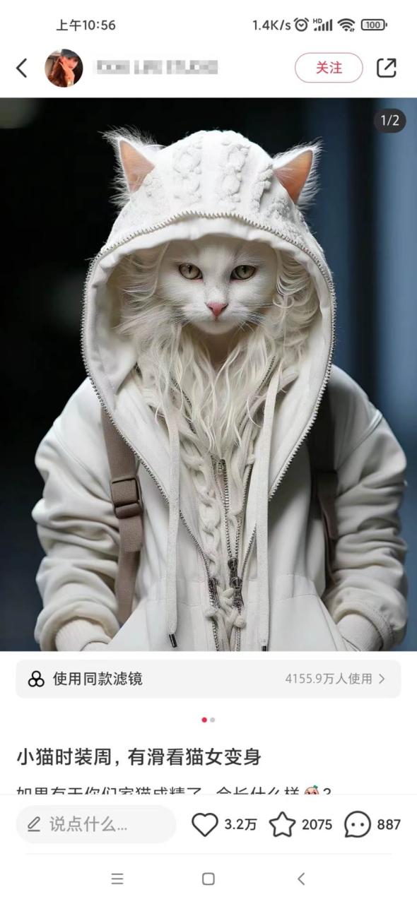 9876c9a3f320250303123828