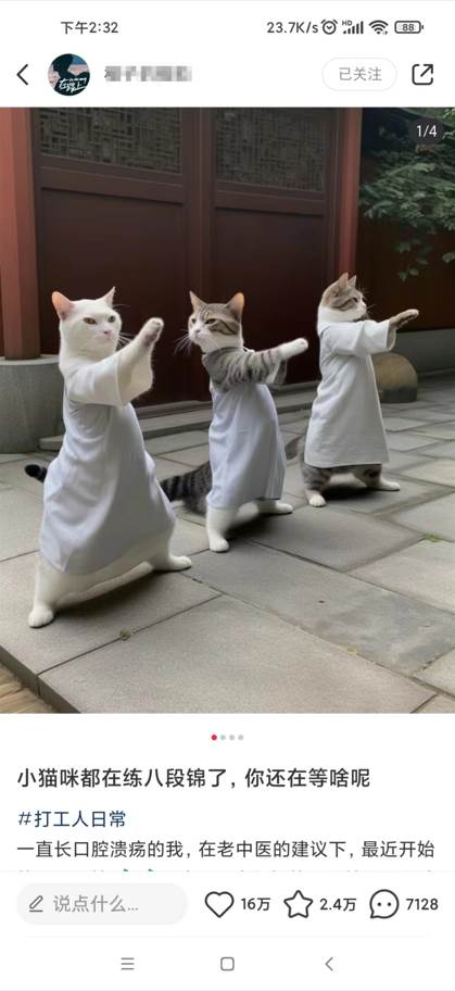 86fd4e2d2b20250303123841