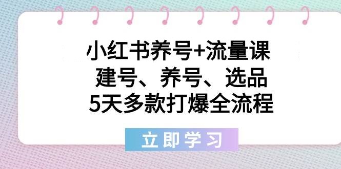 小红书养号+流量课：建号、养号、选品，5天多款打爆全流程-星火微能网