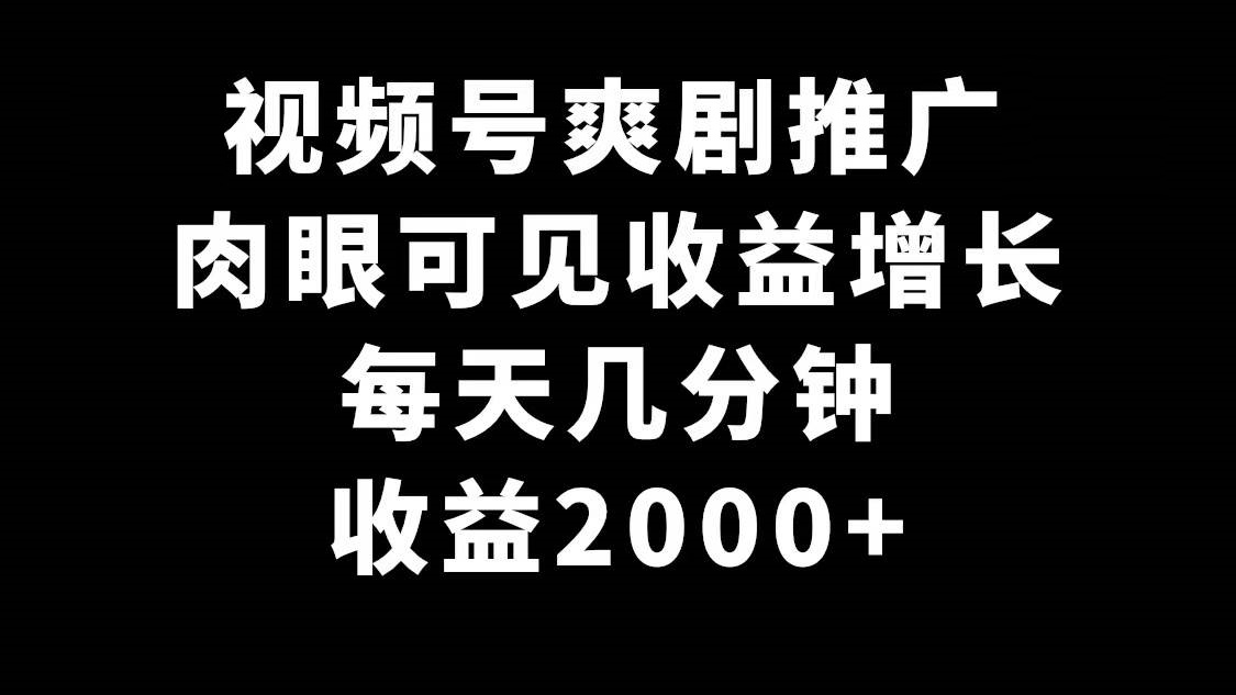 视频号爽剧推广，肉眼可见的收益增长，每天几分钟收益2000+-星火微能网