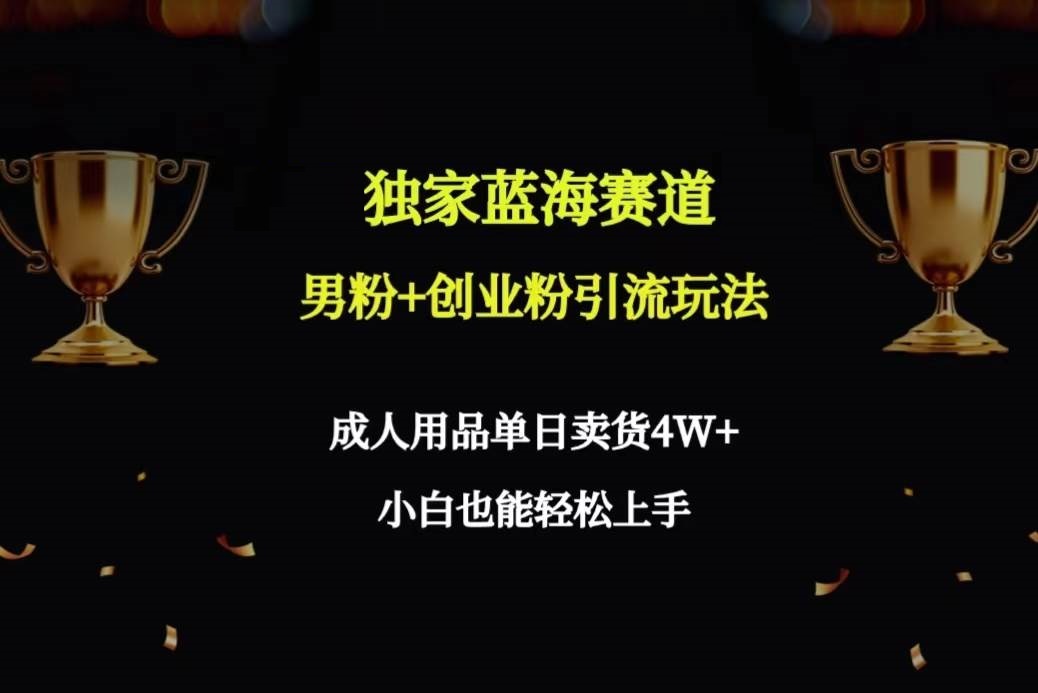 独家蓝海赛道男粉+创业粉引流玩法，成人用品单日卖货4W+保姆教程-星火微能网