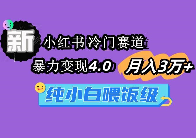 小红书冷门赛道 月入3万+ 暴力变现4.0 纯小白喂饭级-星火微能网