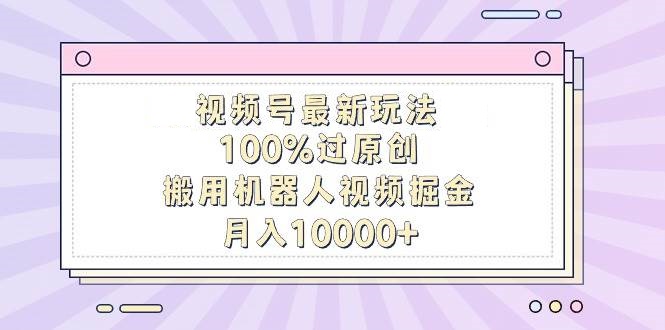 视频号最新玩法，100%过原创，搬用机器人视频掘金，月入10000+-星火微能网