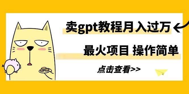 最火项目，卖gpt教程月入过W，操作简单-星火微能网