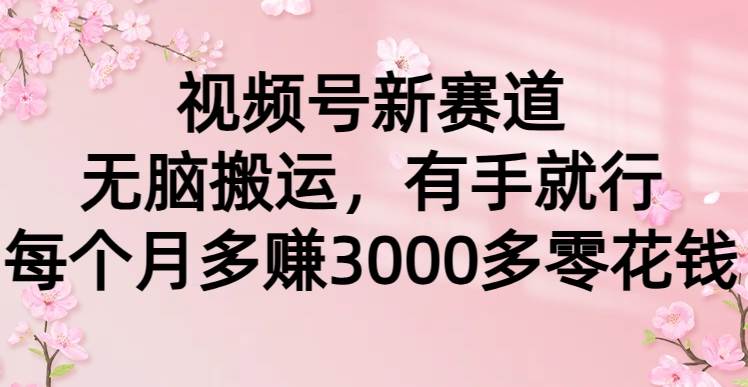 视频号新赛道，轻松搬运，有手就行，每个月多赚3000多零花钱-星火微能网