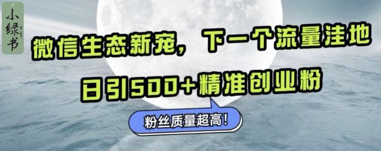 微信生态新宠小绿书：下一个流量洼地，日引500+精准创业粉，粉丝质量超高-星火微能网