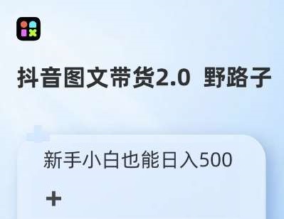 抖音图文带货野路子2.0玩法，暴力起号，单日收益多张，小白也可轻松上手【揭秘】-星火微能网