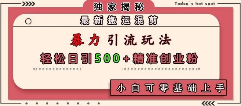 最新搬运混剪暴力引流玩法，轻松日引500+精准创业粉，小白可零基础上手-星火微能网