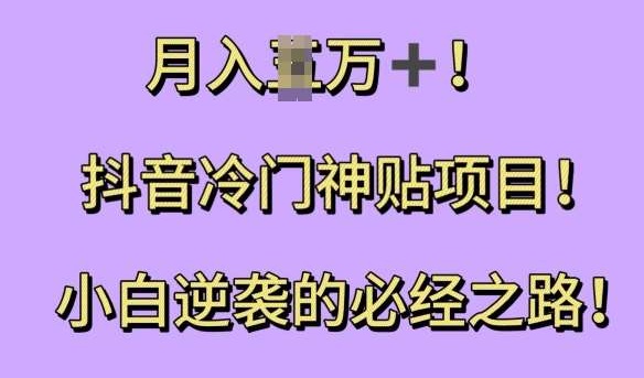 抖音冷门神贴项目，小白逆袭的必经之路，月入过W-星火微能网
