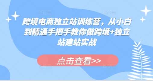 跨境电商独立站训练营，从小白到精通手把手教你做跨境+独立站建站实战-星火微能网